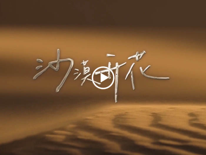 沙漠开花